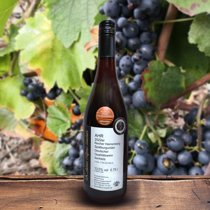 2022 Recher Herrenberg Spätburgunder Qualitätswein feinherb 750 ml. Rotwein feinherb
