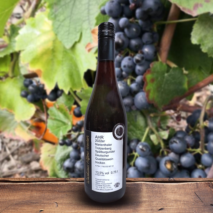 2022 Marienthaler Trotzenberg Spätburgunder Qualitätswein trocken 750 ml. Steilstlagenweine Rot