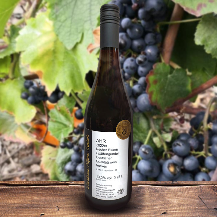 AHR 2022 Recher Blume Spätburgunder Qualitätswein trocken 750 ml. Rotwein trocken