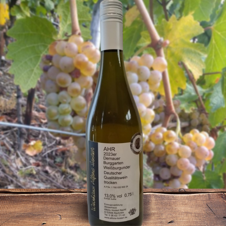 2023 Dernauer Burggarten Weißburgunder trocken Qualitätswein 750 ml Weißwein trocken
