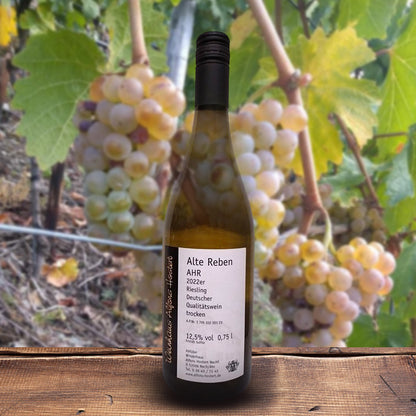 2022 Alte Reben Riesling Qualitätswein trocken 750 ml. Weißwein trocken