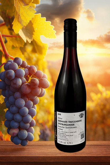 2024 Dernauer Trotzenberg Spätburgunder Qualitätswein trocken 750 ml. Steilstlagenweine Rot